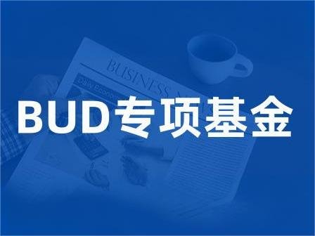 香港BUD专项基金