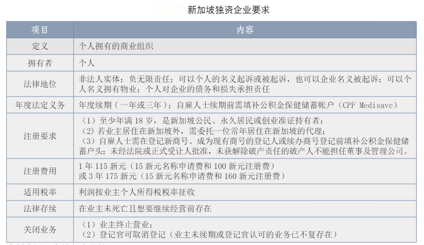 新加坡独资企业要求