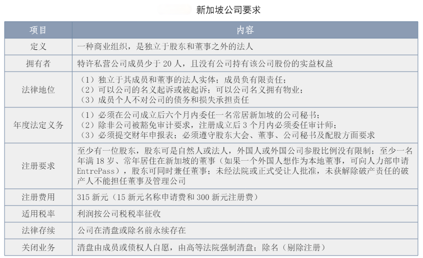 新加坡公司要求